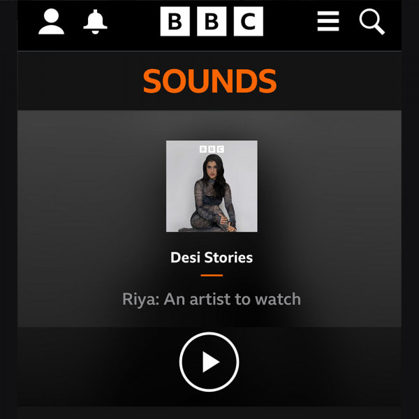 bbc_desi_stories